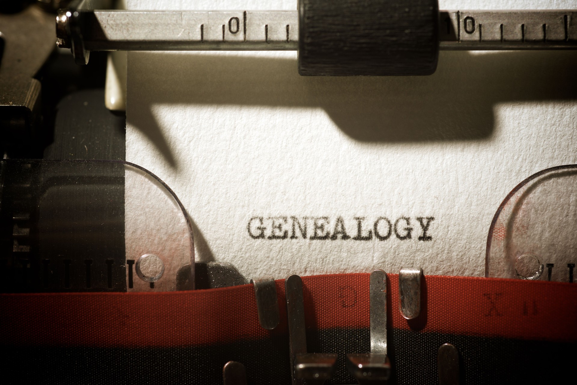 Genealogy concept view